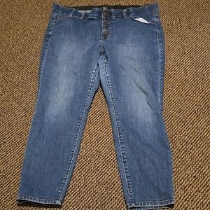 Venezia By Lane Bryant Classic Blue Denim Skinny Jeans